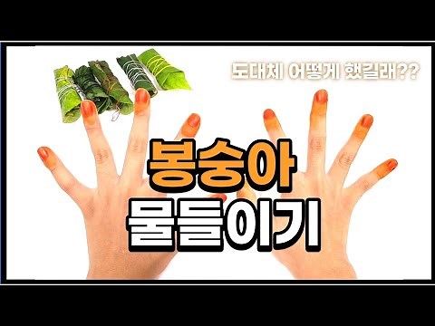 🌿봉숭아 물들이기 | 봉숭아 물들이는 방법 | 여름놀이 | 집콕놀이