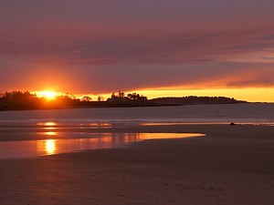 Higgins Beach Live Webcam - Steve Seabury HigginsBeachProperties.com