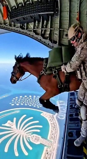 You Won’t Believe What Jumped Out of This Military Plane