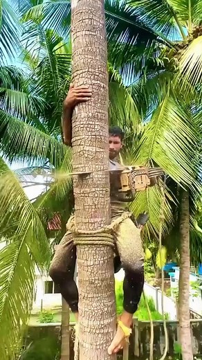 1.6M views · 4.6K reactions | My Village Garden Tree Cutter How I am looking today#girls #fbhitreels #viralreels #fbreels #viralreelsfb #viralfbpage #facebookreel #fbtrendingreels #virals #fbpost #viralvideo | Usa Viral | Facebook