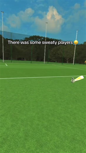 Overcoming VRFS Noob Struggles with Coaching