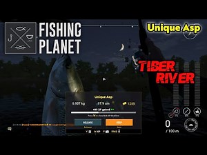 Unique Asp Tiber River - Fishing Planet