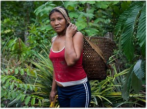 Defending the Amazon: How indigenous culture protects Colombia's rainforest