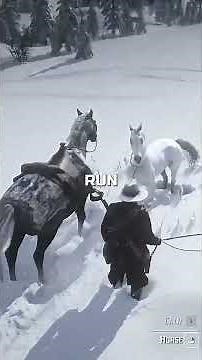 Get the White Arabian FREE in Chapter 2! | RDR2 Guide