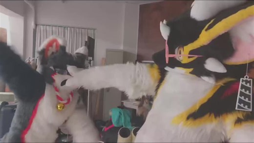 prevent#kemono #fursuit