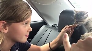 Ultimate Puppy and Kitten Cute Animal Compilation May 2018 | Funny Pet Videos