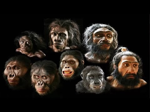 Homo Sapiens: The Amazing Evolutionary Journey Of Modern Humans