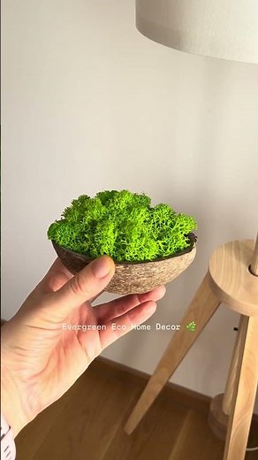 🌿🥥 DIY Evergreen Eco Craft for Home Decoration | Coconut & Moss Handmade Decor Idea