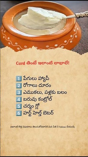 Curd Lovers Must Watch! 6 Amazing Benefits of Eating Curd Daily