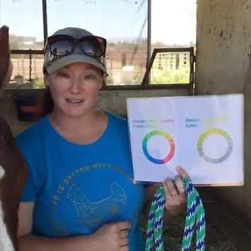 The Colors Horses See