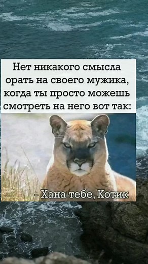 Stunning Close-Up of Mountain Lion in Natural Habitat