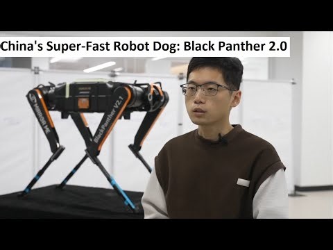 China's Super-Fast Robot Dog: Black Panther 2.0