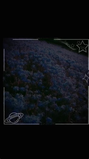 Videos de 🎀⭐Linit⭐🎀 (@linit2927) con “sonido original - ⚝༞𝐀𝐋𝐄𝐗༞⚝”