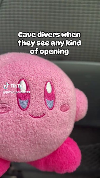 Kirby Plush Collectibles: A Must-See for Fans!