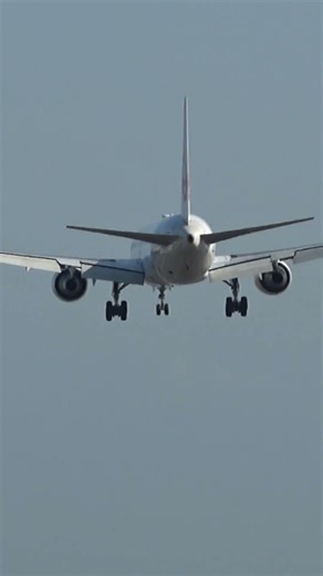 JAL Boeing 767(JA613J)Landing at Haneda Airport#b767 #planespotting