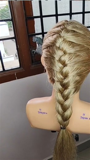 3 Strand French Plait Hairstyle | Easy & Quick Hairstyle | Trending Hairstyle