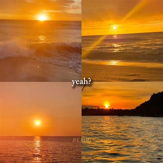 with or without sun? ✨ #lifeisbutadream #angel #aesthetic #ihavethisthingwithplants #shortsfeed