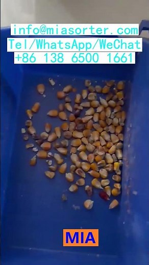 Industrial Camera CCD OEM Color Sorting Machine Complete Solution Reliable Supplier China Turkey