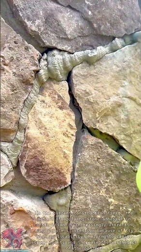 How to apply construction stone glue || Construction tools