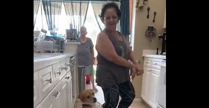 [VIDEO] This beagle loves to dance, her latest performance has 30 million views