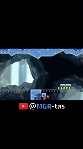Collecting the Switch Skip Coins