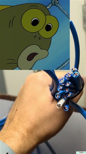 Cat6 Patch Panel with Cat6e Ethernet Cables