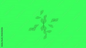 Animation of Line geometric arches and circle abstract shapes, green screen. Modern animated line design set featuring boho aesthetic stripes and grids. Bauhaus, Memphis, and Swiss design animation.4k