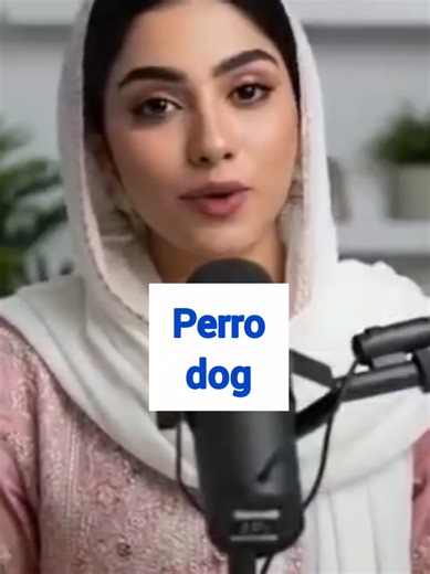 Learn Spanish to English Vocabulary Easily