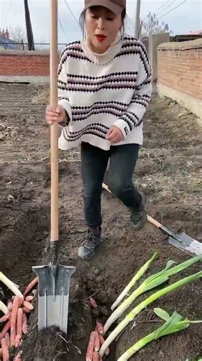New technical harvesting corn #corn #farmlife #countryside # 26