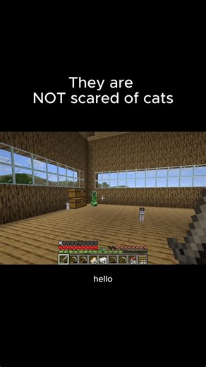 They are NOT scared of cats 😩
