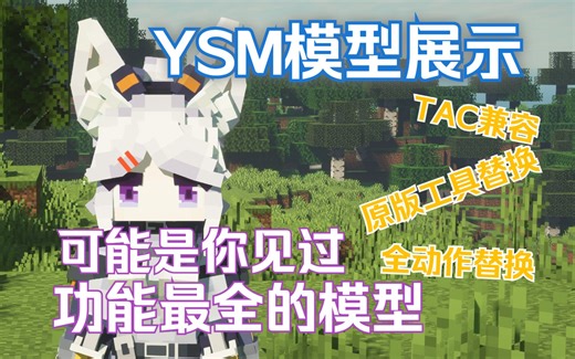 【模型展示】YSM模型终极形态？最全动画模型展示！
