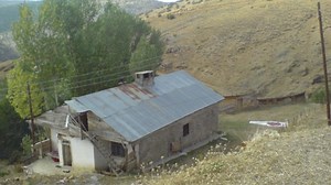 Sarışeyh Köyü Kekit Gümüşhane