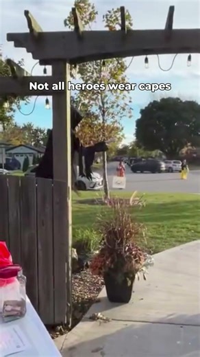 Today I answered a question nobody asked me in a hot dog suit.