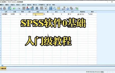 SPSS软件0基础入门讲解