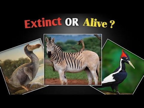 100 Saal Baad Wapas Aa Gaya?! 😱 Hindi/Urdu