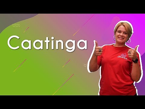 Caatinga - Brazil School