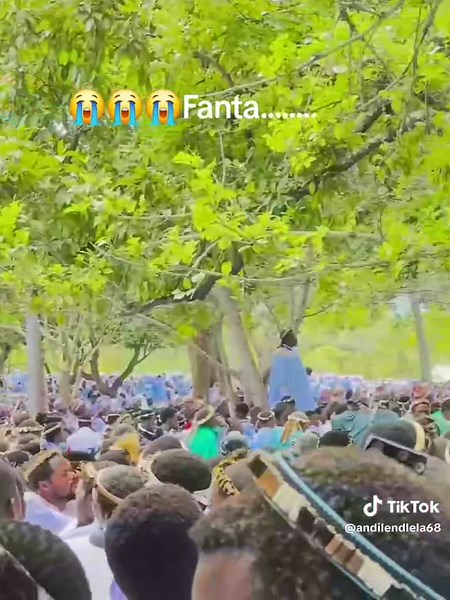 Fanta Orange: A Refreshing Taste Experience