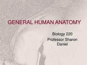 GENERAL HUMAN ANATOMY - SlideServe