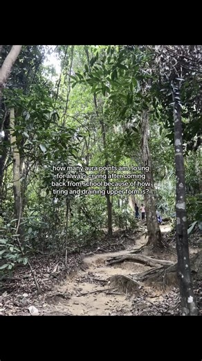 Navigating Homework Stress in Upper Form Students