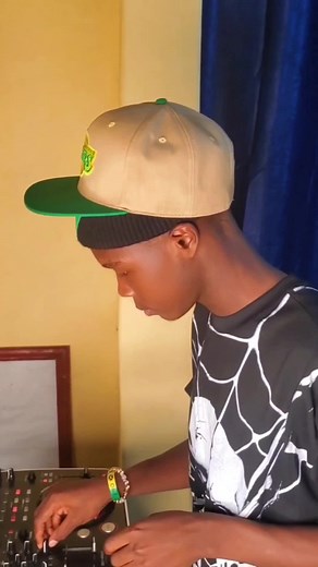 DJ Bashir Pro 2024: Nonstop Mixes You Can't Miss