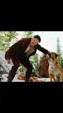 the Call of the Wild movie explains in Hindi short time #movie #film #hindi #bestreels #movie