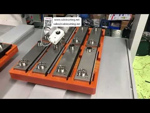 Exclusive Automatic Screwdriving Machine System Factory Automation System Fast Production