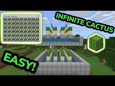 SIMPLE 1.21 AUTOMATIC CACTUS FARM TUTORIAL in Minecraft Bedrock (MCPE/Xbox/PS4/Nintendo Switch/PC)
