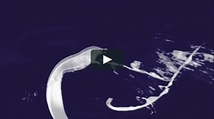 Fremantle Media enterprises Intro {Widescreen HD 1080p}