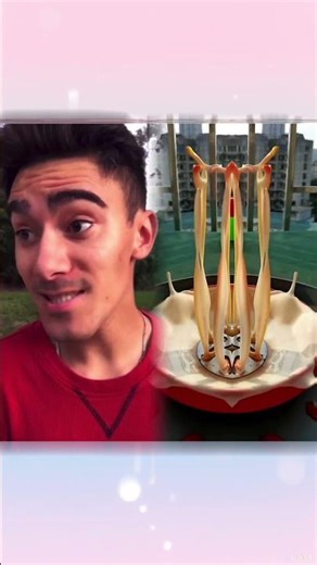 Caillou Goes Skateboarding#shorts