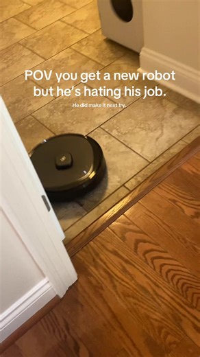 Alyssa | TTS Finds (@alyssas.home)’s video of Robot