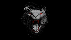 Lion, Nature, Animal, Predator