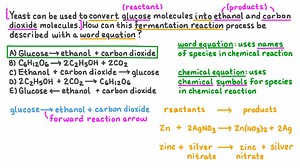 Identifying the Word Equation That Represents the Fermentation of Glucose to Produce Ethanol and Carbon Dioxide