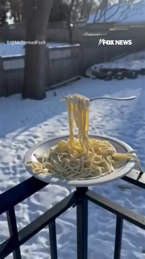 POLAR PASTA: A Minneapolis meteorologist goes viral after showing a plate of spaghetti and fork completely frozen midair as subzero temperatures grip states across the country. | Fox News