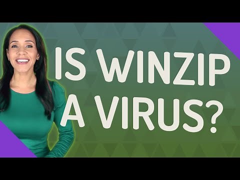 Is WinZip a virus?